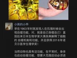 恐惧的饥饿针：揭示其作用机制与影响效果