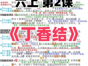 丁香结：一个可能的限定，关于表达与感知的微观解读