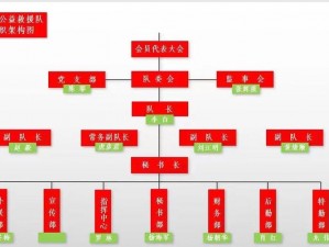 十字队形图解：揭秘信息时代的组织结构与发展脉络