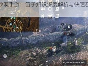 黑色沙漠手游：笛子知识深度解析与快速获取攻略