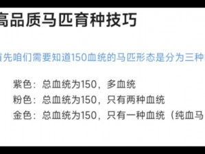 诺亚之心马匹血统精准分辨指南：血统辨别攻略详解