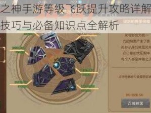 万王之神手游等级飞跃提升攻略详解：策略、技巧与必备知识点全解析