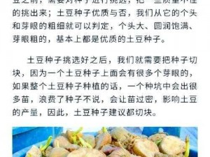 以太荒初境探秘：土豆种植地点的神秘面纱揭晓