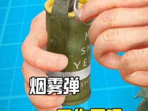 明日之后烟雾弹真实效果如何评估与探讨：实战作用分析揭秘