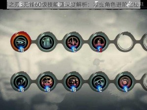 影之刃3无锋60级技能链深度解析：掌握角色进阶之秘诀