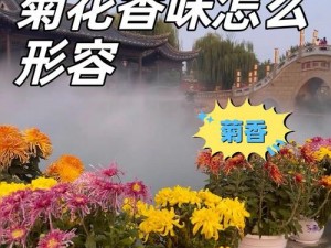 爆女生菊花是什么感觉,爆女生菊花是否会产生愉悦感？