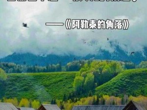 关于永泰居民零感知的深入探索：探寻生活细节中的微妙平衡