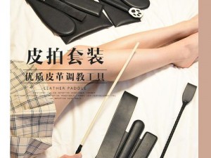 家训sp小玩具【你可以玩一些家训 sp 小玩具吗？】