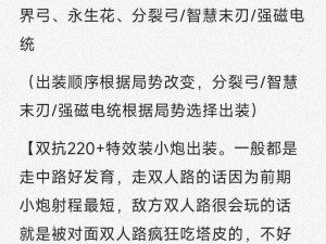 新版本云顶之弈小炮出装策略与装备搭配详解