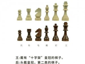 多多自走棋站位攻略：掌握角色布局，决胜棋局之间