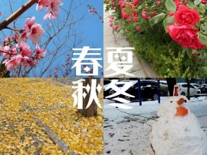 四季合合美景截图预览：春花烂漫与冬雪皑皑的轮回之旅