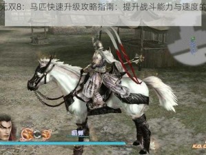 真三国无双8：马匹快速升级攻略指南：提升战斗能力与速度的秘诀揭秘