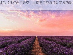 桃红色【桃红色的天空，是晚霞的浪漫还是梦境的诱惑？】