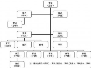 《三国志14：曹操人物关系全解析》