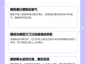 鲤鱼喝水技巧图解、鲤鱼喝水技巧有哪些？