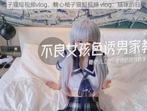 糖心柚子猫短视频vlog、糖心柚子猫短视频 vlog：猫咪的日常生活