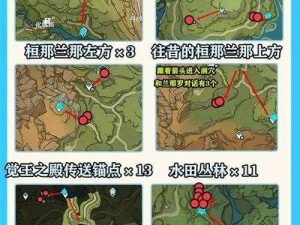 2023年原神玩家必备：树王圣体菇最佳采集路线图分享