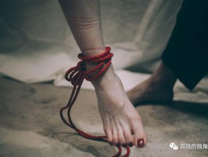 bdsm酷刑折磨调教sm【bdsm 酷刑折磨调教 sm：探索未知的性癖好】