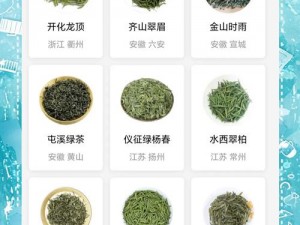 绿茶app游客登录版【绿茶 app 游客登录版，真的好用吗？】