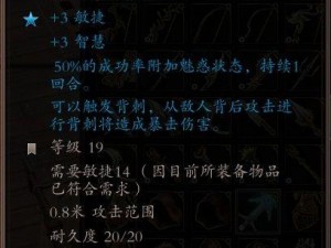 神界原罪2装备选择与战斗策略深度解析：玩家实战心得分享