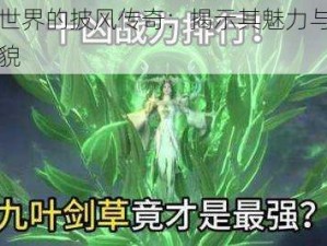 完美世界的披风传奇：揭示其魅力与影响力全貌