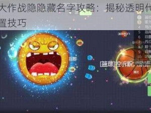 球球大作战隐隐藏名字攻略：揭秘透明代码操作设置技巧