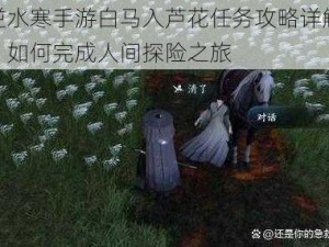 逆水寒手游白马入芦花任务攻略详解：如何完成人间探险之旅