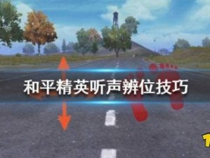 和平精英决赛圈听声辨位攻略：获胜心得与必备技巧详解