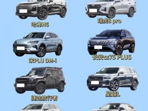 国产suv精品一区二区-国产 SUV 精品一区二区，你最中意哪一款？