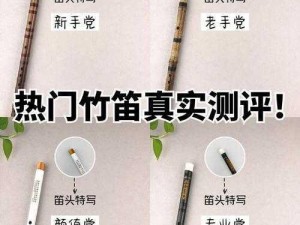 新手入门首选：精选优质笛子推荐指南，助您开启音乐之旅