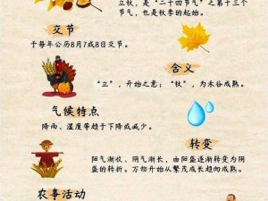 桃源深处有人家立秋节气活动概览：传统习俗与精彩活动一览