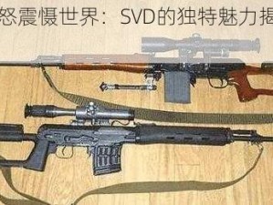 英雄之怒震慑世界：SVD的独特魅力揭示历史之光辉