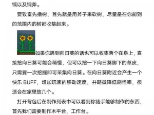 泰拉瑞亚：游戏攻略与操作技巧，探索虚拟世界的无限可能