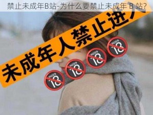 禁止未成年B站-为什么要禁止未成年 B 站？