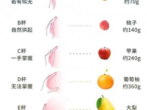 胸围68是136吗【胸围 68 是指下胸围为 68cm 吗？上胸围是 136cm 吗？】