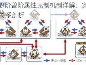 FGO新职阶兽阶属性克制机制详解：实战指南与克制关系剖析