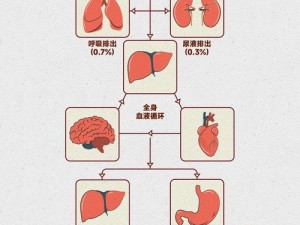 fiee性ZOz0交体内谢nd;fiee 性 ZOz0 交体内代谢过程及影响因素的研究