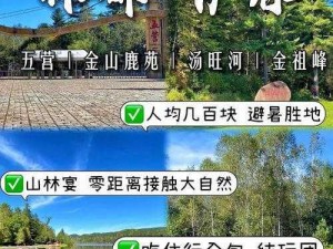 如何进入伊春园2023-如何进入伊春园 2023 年开放的区域？