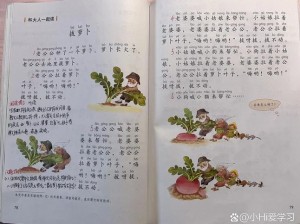 每晚拔萝卜;每晚拔萝卜：奇妙的冒险之旅