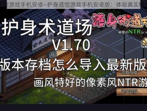 护身道馆游戏手机安卓—护身道馆游戏手机安卓版：体验真实格斗快感