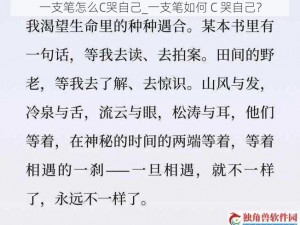 一支笔怎么C哭自己_一支笔如何 C 哭自己？