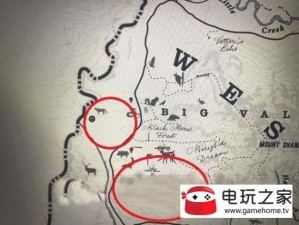 大师2星挑战攻略：实战策略解析与通关技巧揭秘