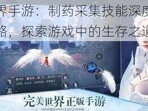 完美世界手游：制药采集技能深度解析与选择策略，探索游戏中的生存之道