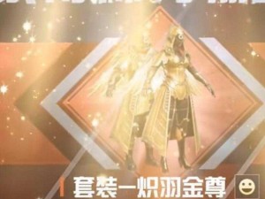 探寻珍稀之秘：织羽金尊的获取之道