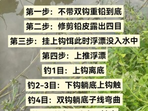 珊瑚岛的挂鱼饵技巧：探索最佳方式与提高捕鱼效率的实践指南