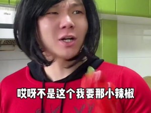 二舅梗现象解析：揭示其背后的文化含义与流传脉络