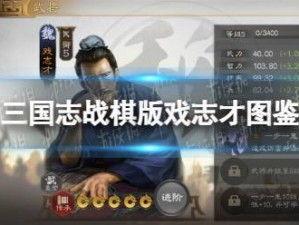 三国志战棋版戏志才深度解析：全方位培养价值评估与探讨