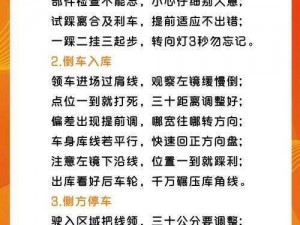 老司机必备：科目二电脑版下载及详细安装指南