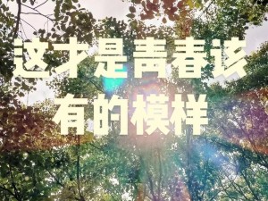 抖音热歌揭秘：青春旋律下的夏日回忆《逝去的夏天如青春不再来》