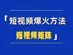 全民割韭菜电脑版下载指南及安装详解：一站式教程带你轻松上手